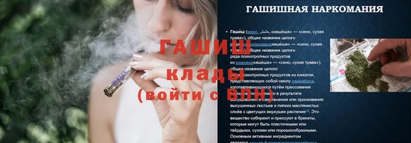 PSILOCYBIN Алзамай