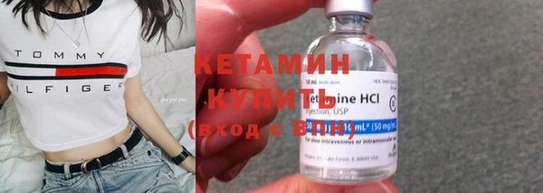 крисы Алексин