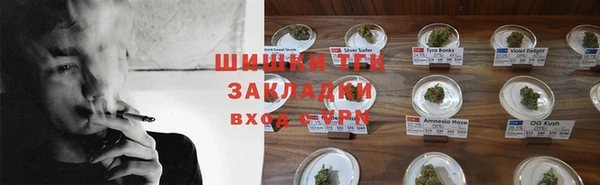гашик Алексеевка
