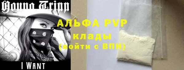 PSILOCYBIN Алзамай