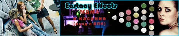 гашик Алексеевка