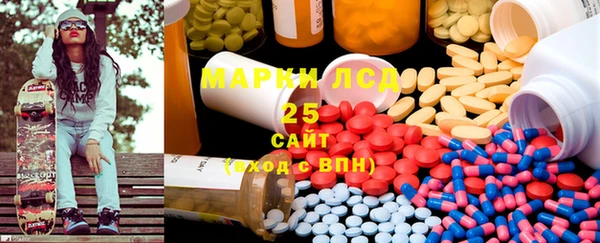 PSILOCYBIN Алзамай