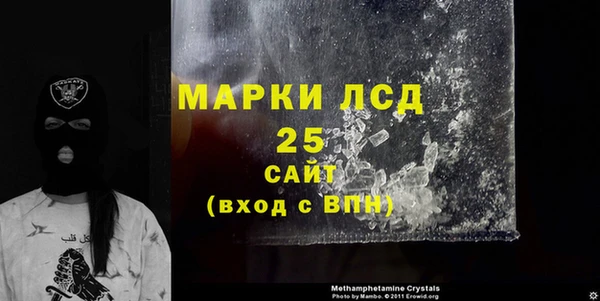 PSILOCYBIN Алзамай