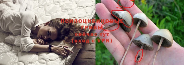 крисы Алексин